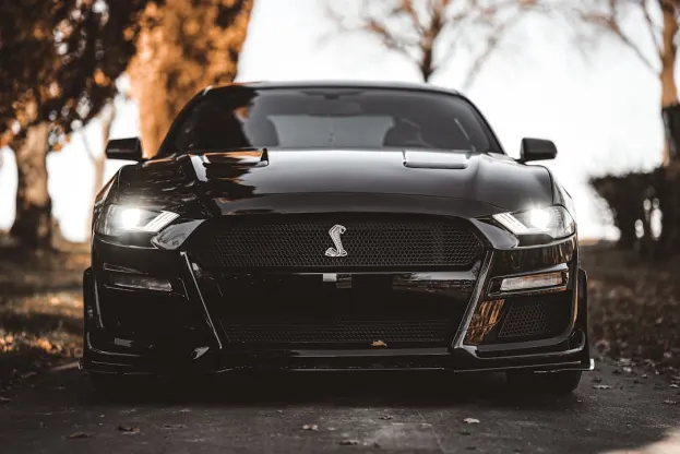 פייוארא קזינו אפליקציית Android/iOS